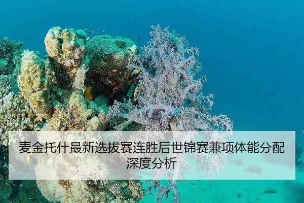 麦金托什最新选拔赛连胜后世锦赛兼项体能分配深度分析